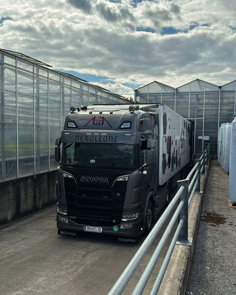 Scania mit Kühlauflieger am Gewächshaus-Ladebereich